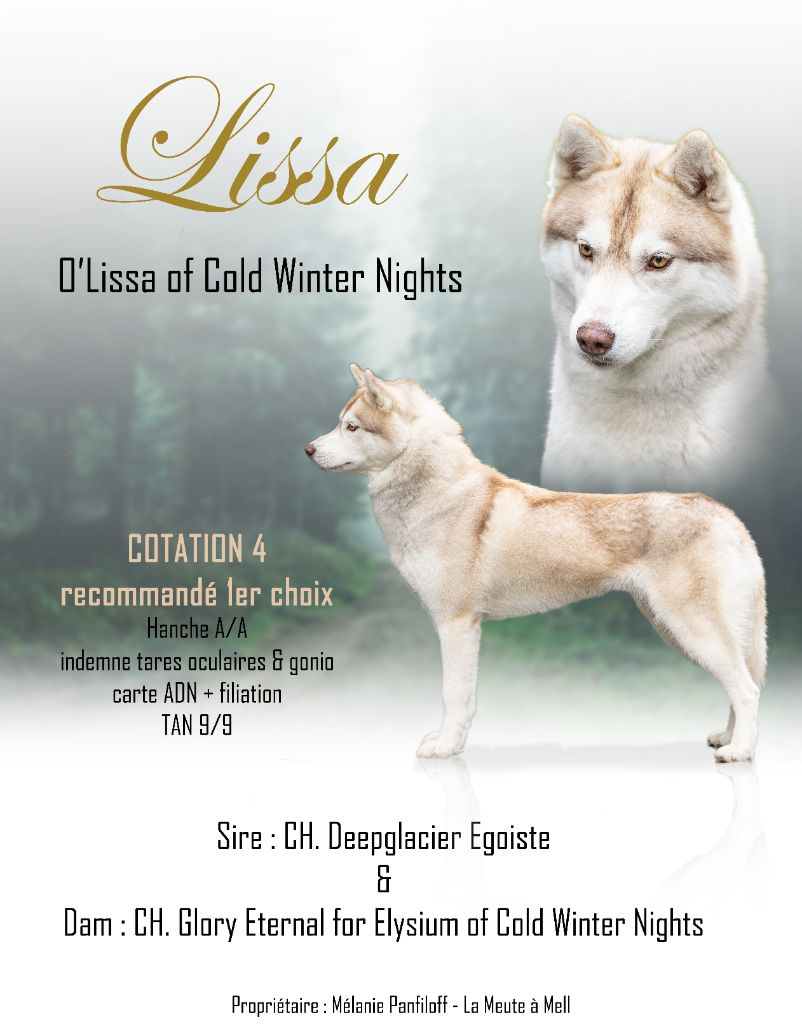 O'lissa Of cold winter nights